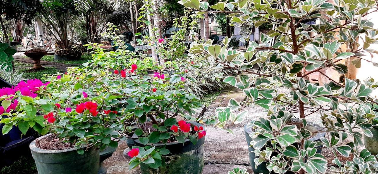 Hiriketiya Cinnamon Garden Dikwella Exteriér fotografie