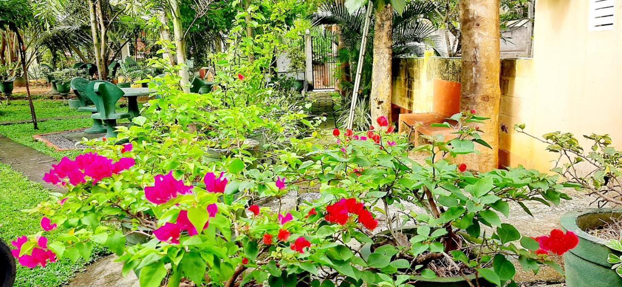 Hiriketiya Cinnamon Garden Dikwella Exteriér fotografie