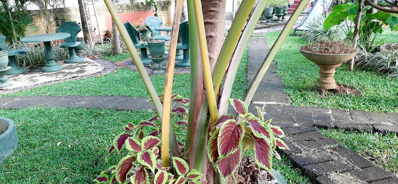 Hiriketiya Cinnamon Garden Dikwella Exteriér fotografie