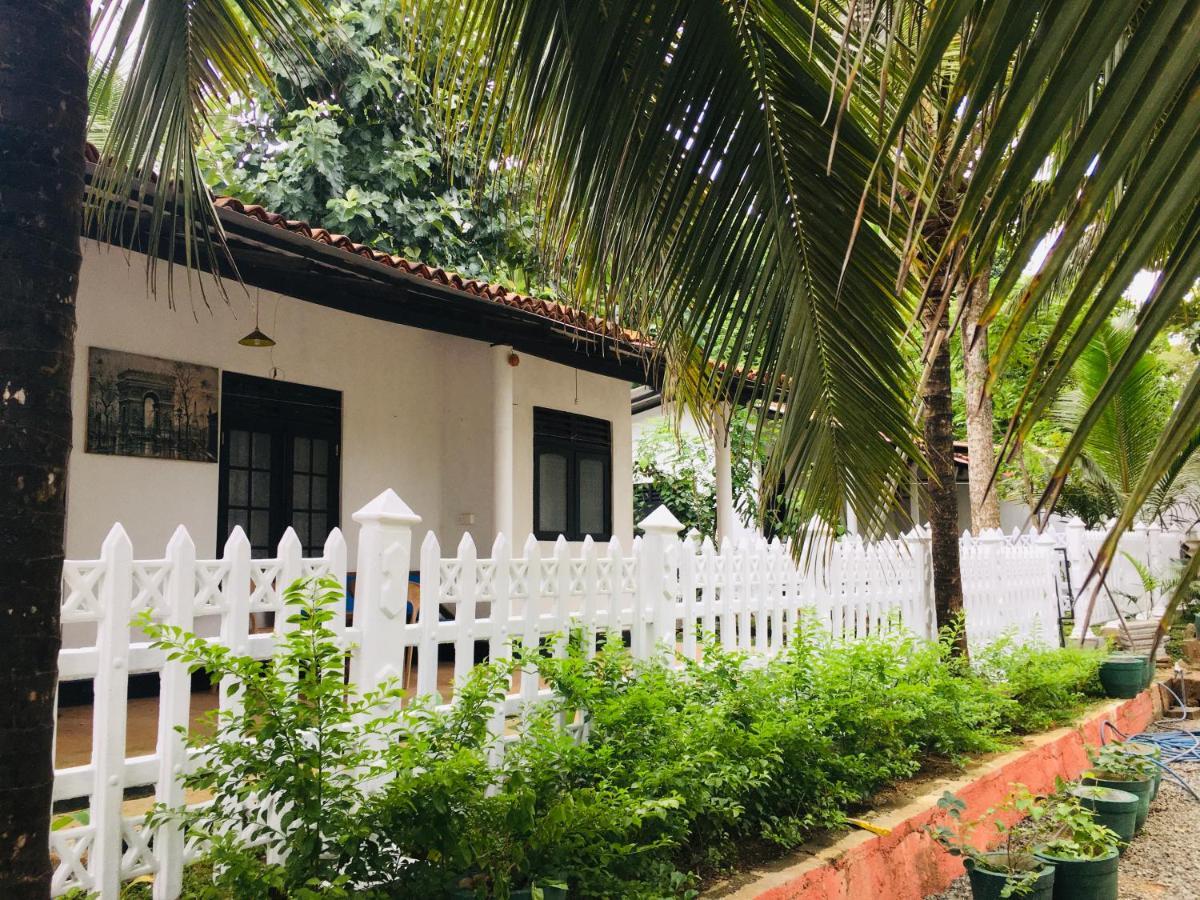 Hiriketiya Cinnamon Garden Dikwella Exteriér fotografie