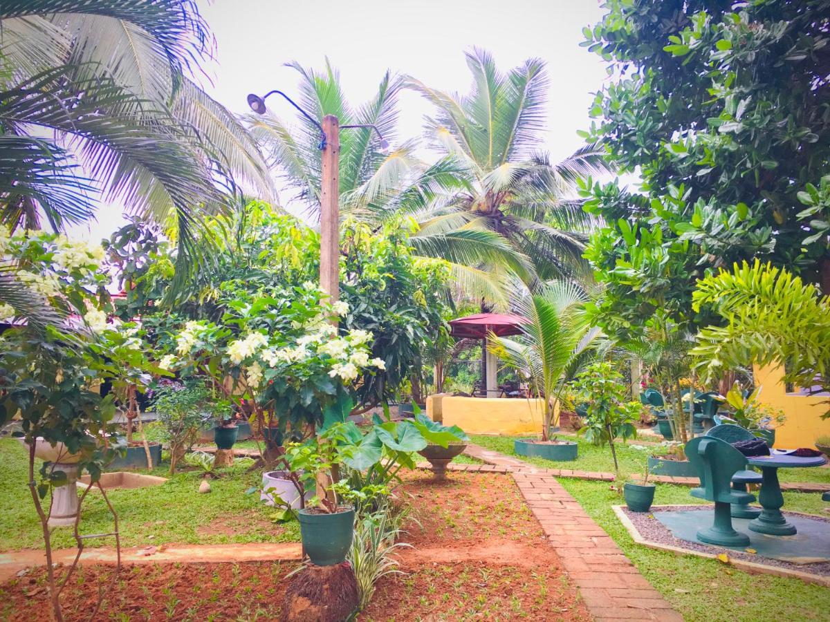 Hiriketiya Cinnamon Garden Dikwella Exteriér fotografie