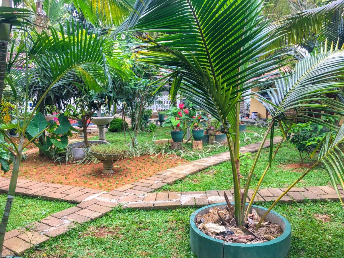 Hiriketiya Cinnamon Garden Dikwella Exteriér fotografie